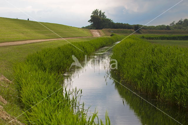 National Park Schiermonnikoog