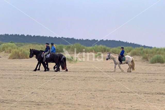 Nationaal park Schiermonnikoog