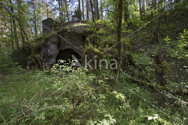 Biebrza National Park