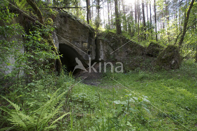 Biebrza National Park