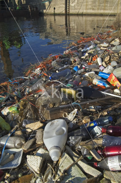environmental pollution