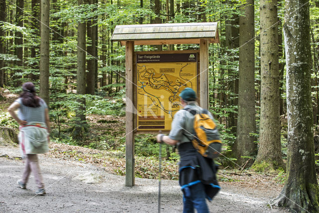 Nationaal park Beierse Woud