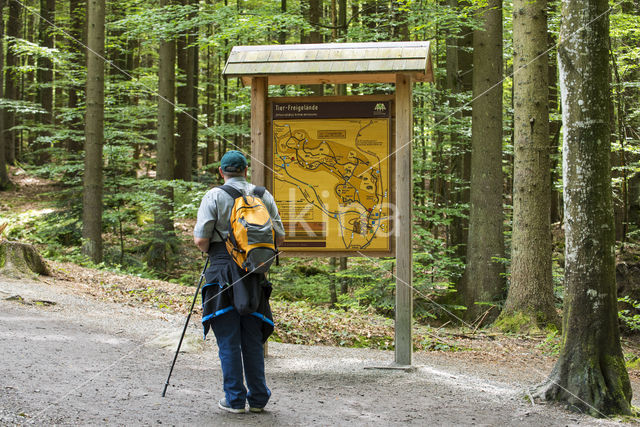 Nationaal park Beierse Woud