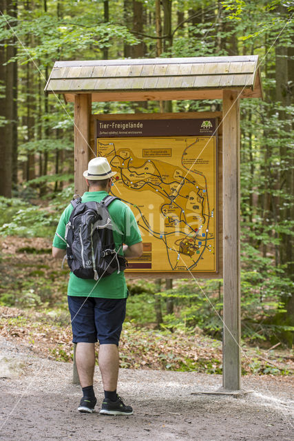 Bavarian Forest National Park