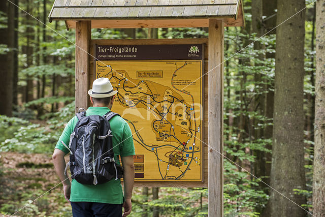 Bavarian Forest National Park