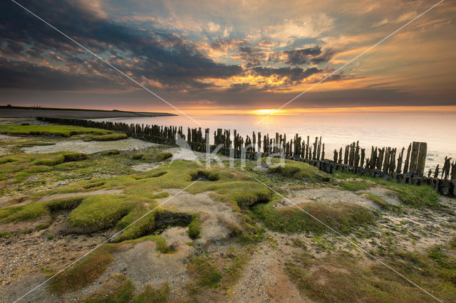 Waddenzee