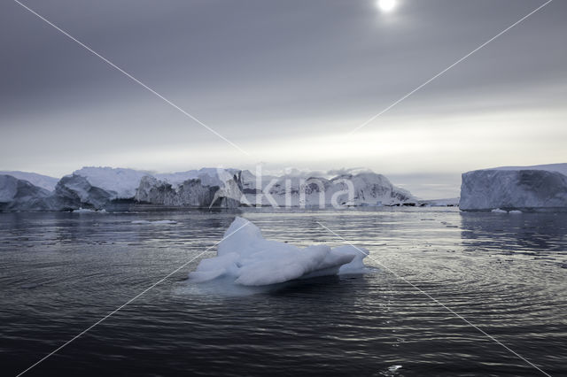 Wilhelmina Bay