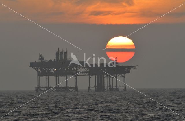 Noordzee