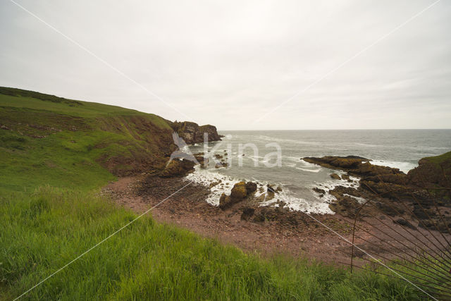 St Abbs Head