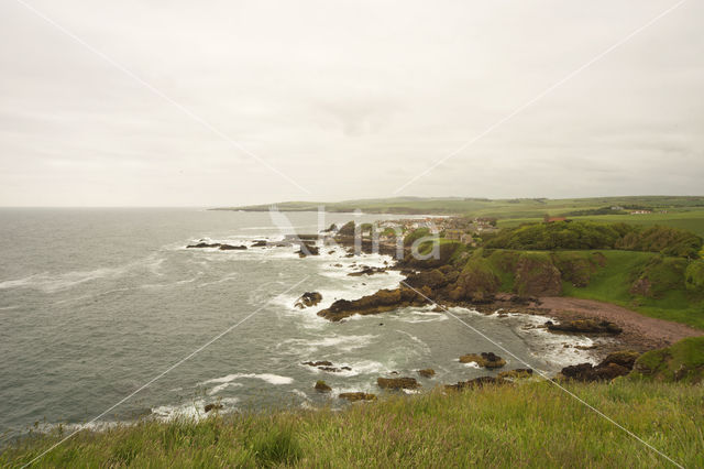 St Abbs Head