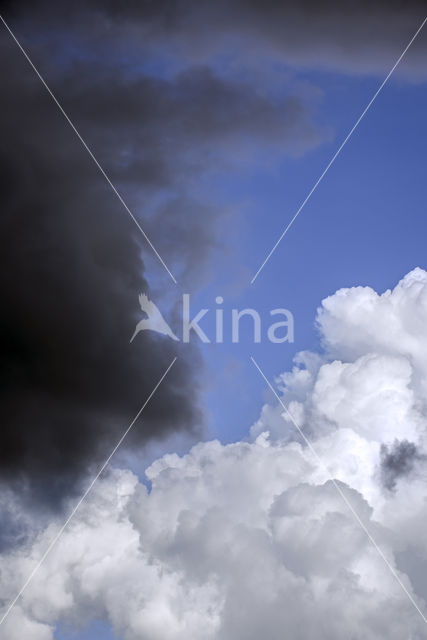 black sky