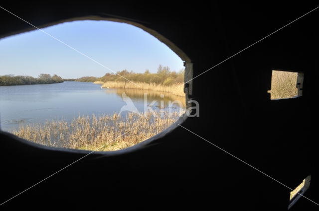 Réserve naturelle de la Baie de Somme