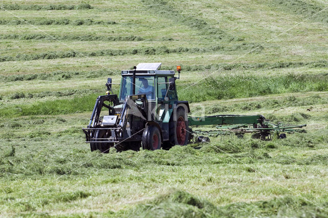 harvest