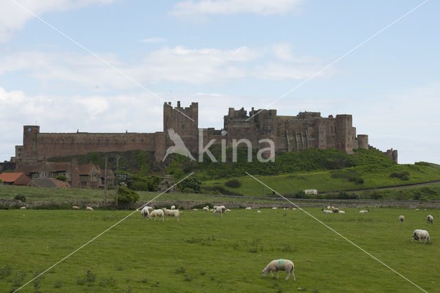 Bamburg Castle