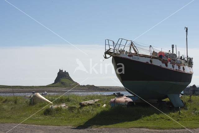 Holy Island