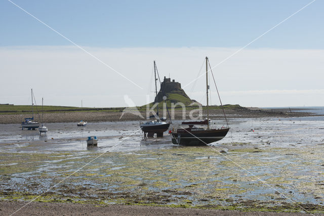 Holy Island