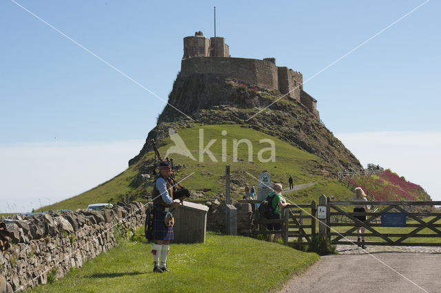 Holy Island