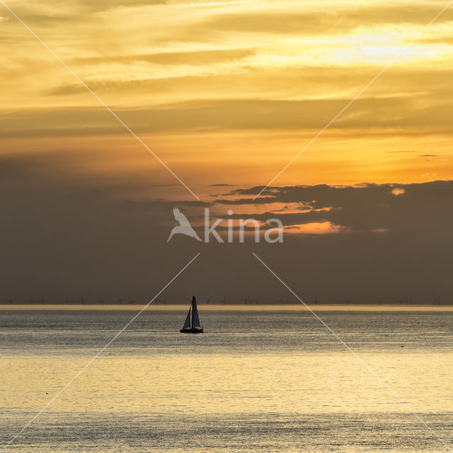 sailing boat