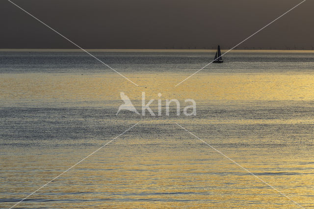 sailing boat