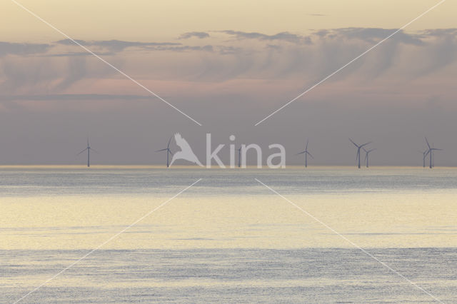 Noordzeestrand