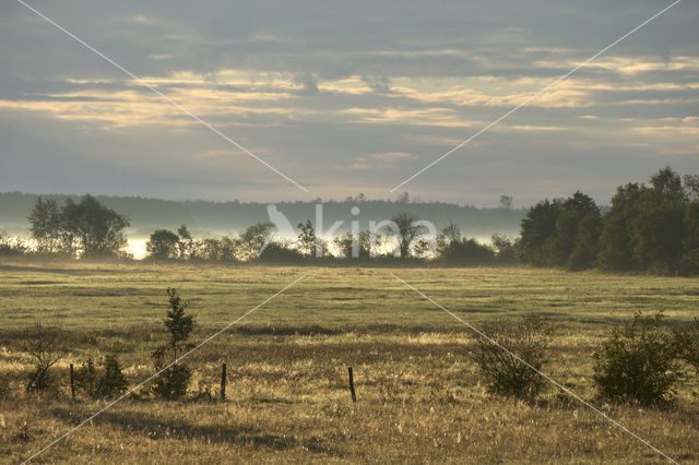 Biebrza National Park