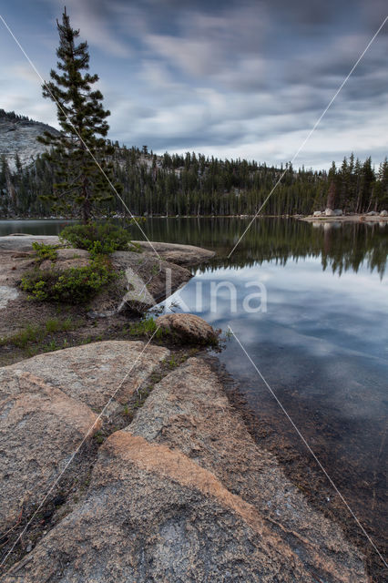 Yosemite National Park