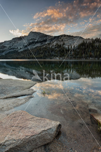 Yosemite National Park