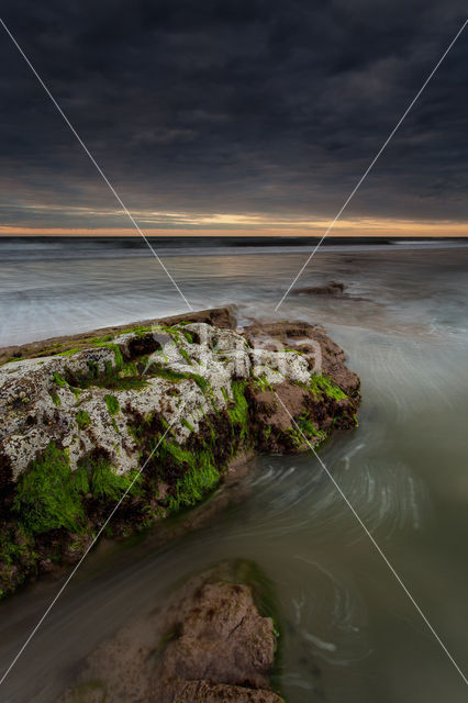 Seahouses