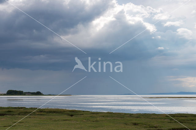 Aberlady Bay