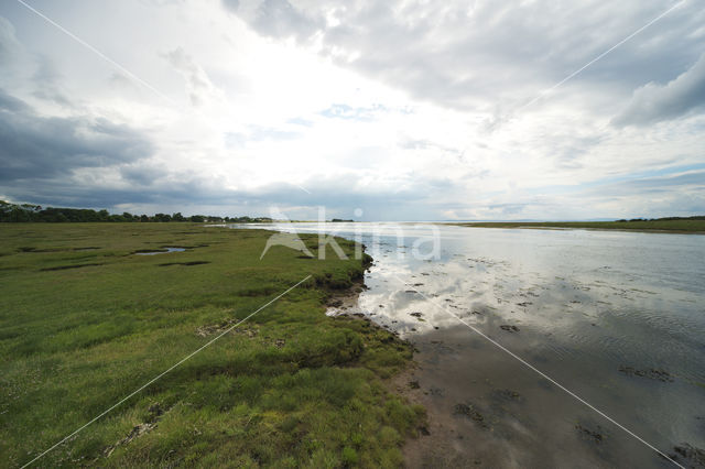 Aberlady Bay