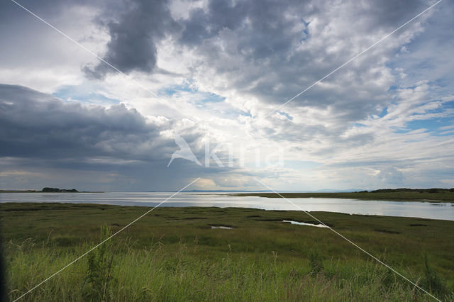 Aberlady Bay