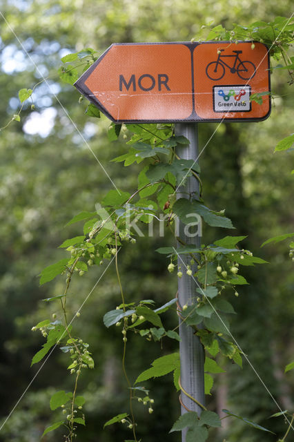 Biebrza National Park