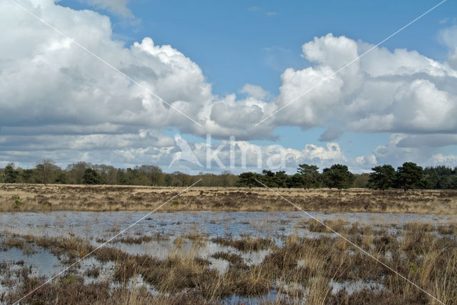 National Park Drents-Friese Wold