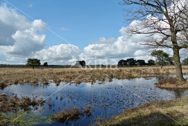 Nationaal Park Drents-Friese Wold