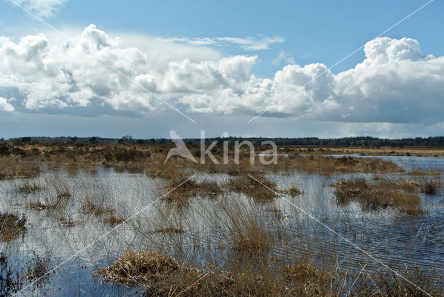 Nationaal Park Drents-Friese Wold