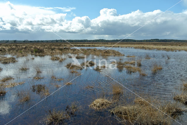 Nationaal Park Drents-Friese Wold