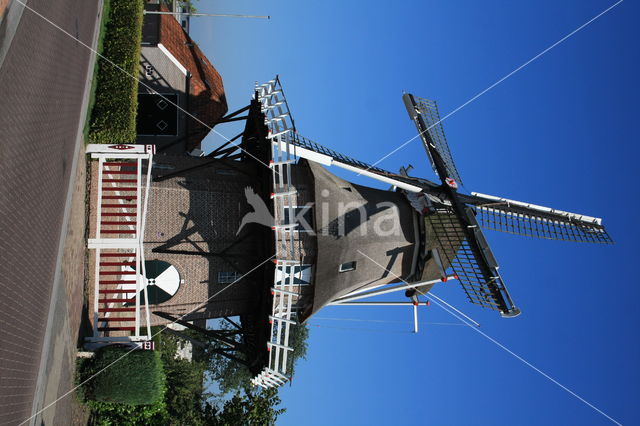 Molen Windlust