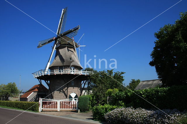 Molen Windlust