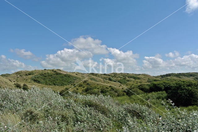 Noordhollands Duinreservaat