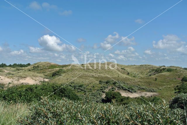 Noordhollands Duinreservaat