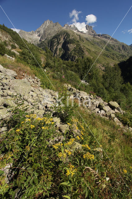 Vallée du Vénéon