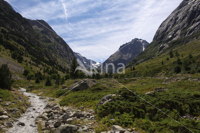 mountain
