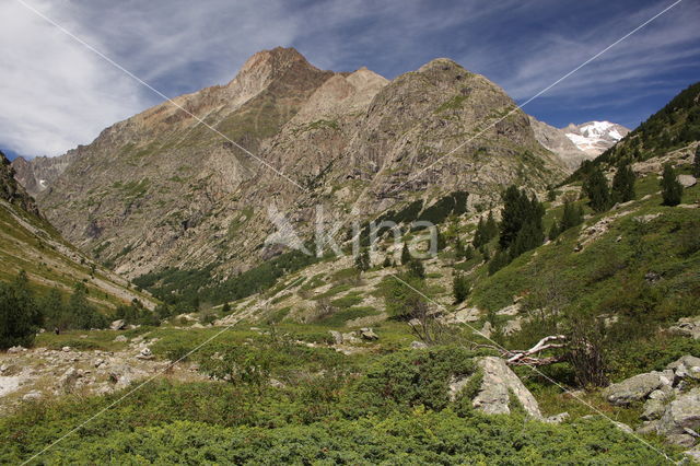 Vallée du Vénéon