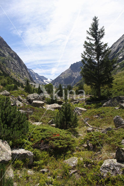 mountain