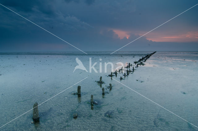 National Park Lauwersmeer