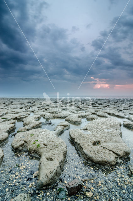 Nationaal Park Lauwersmeer