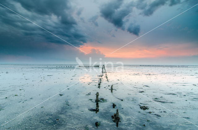 National Park Lauwersmeer