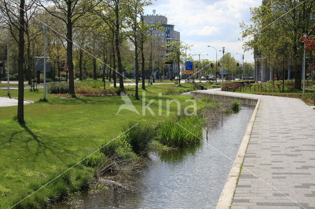 Apeldoorn