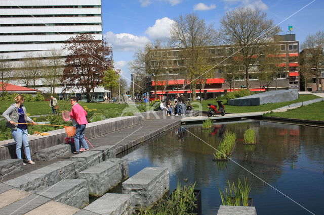 Apeldoorn