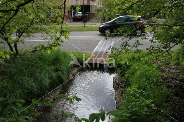 Apeldoorn